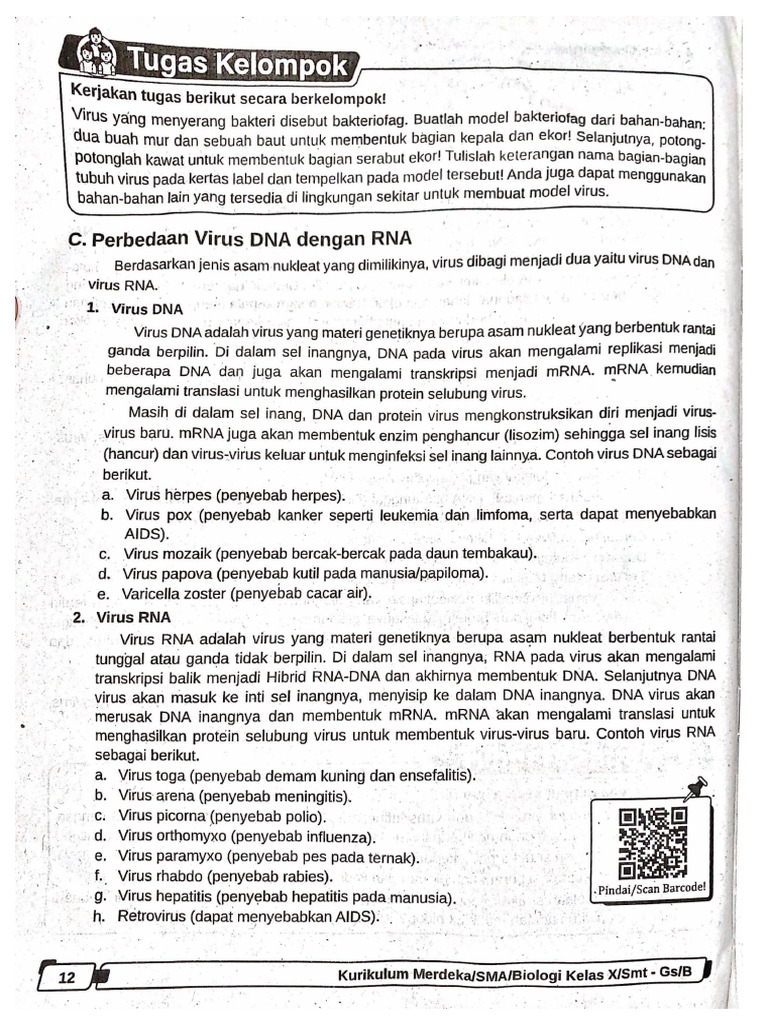 Perbedaan Virus Dna Dan Rna Pdf
