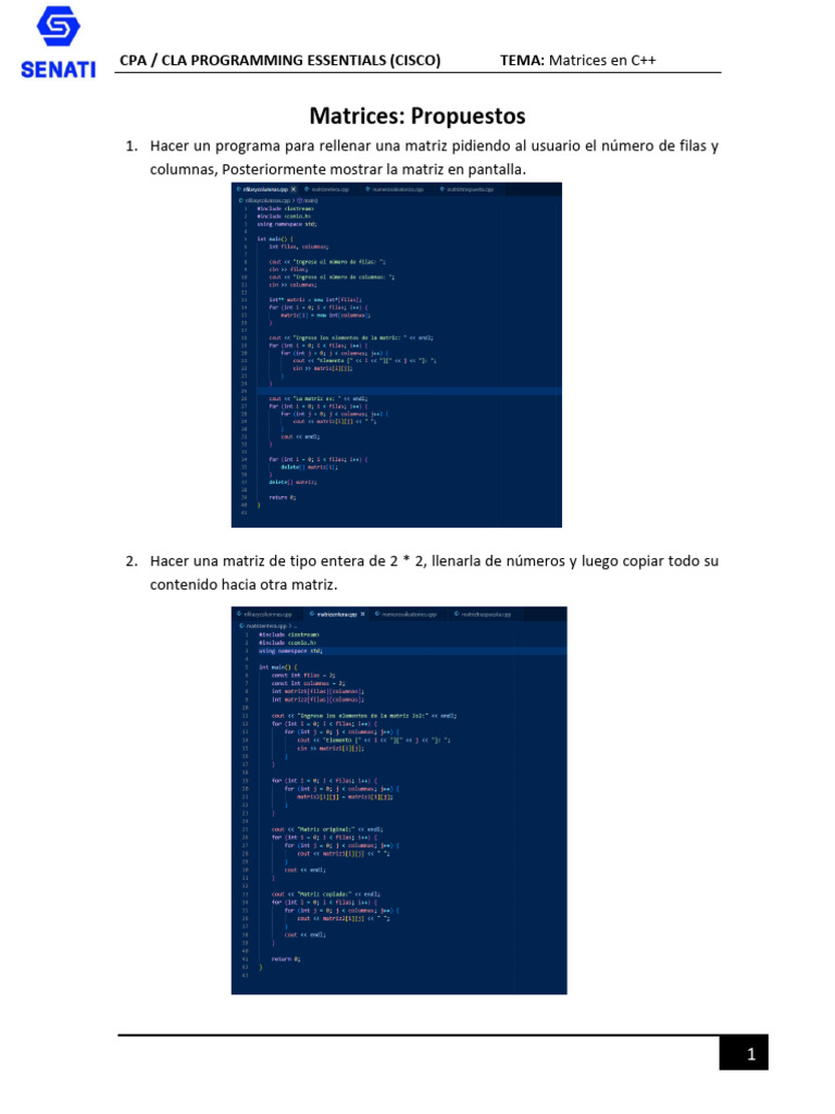 Anderson Pimentel-C++ - Matriz | PDF