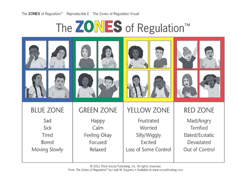 ZoR Visual New Reproducible E 10.24 | PDF