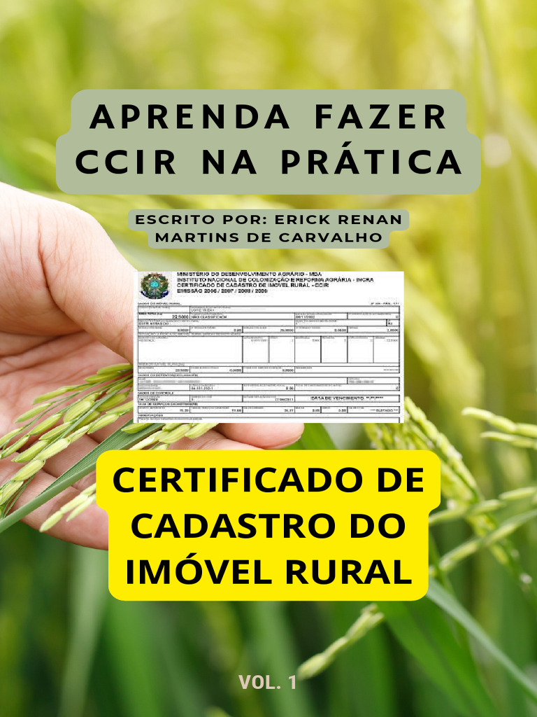 Como Fazer o CCIR na Prática | PDF