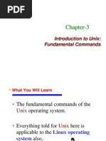 Introduction To Unix: Fundamental Commands