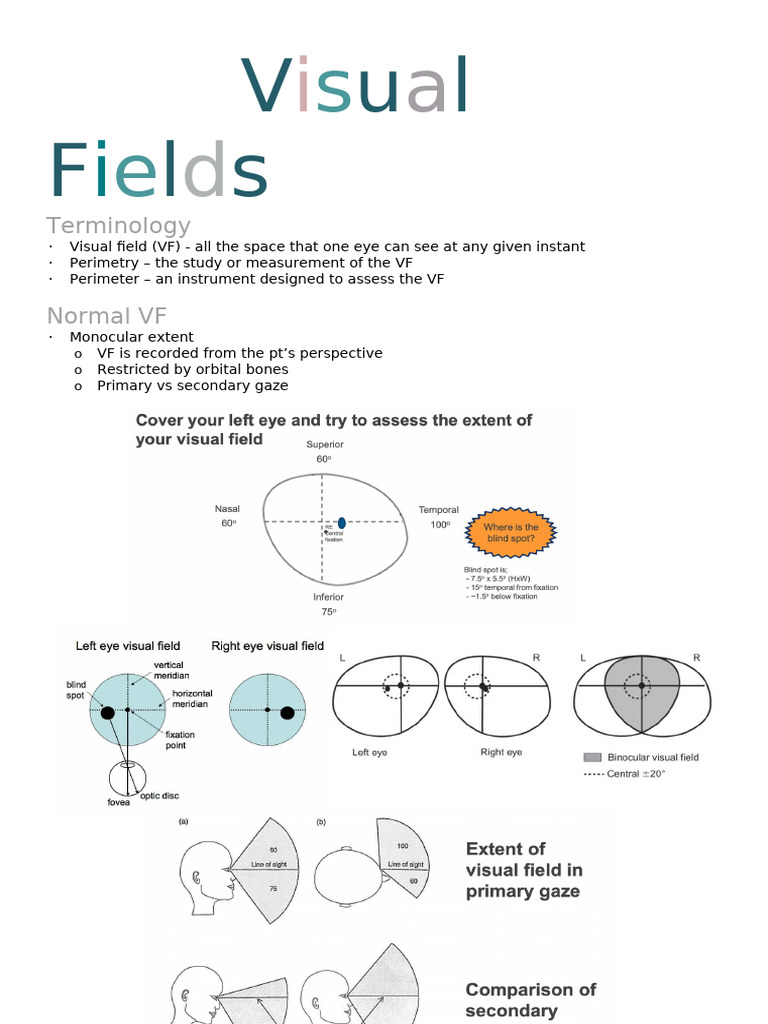 Visual Field Assessment Overview | PDF | Contrast (Vision) | Visual System