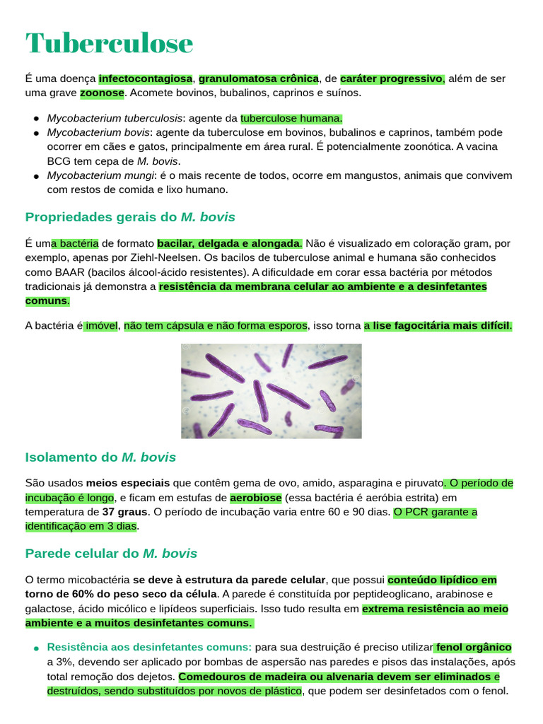 Tuberculose | PDF | Mycobacterium | Tuberculose