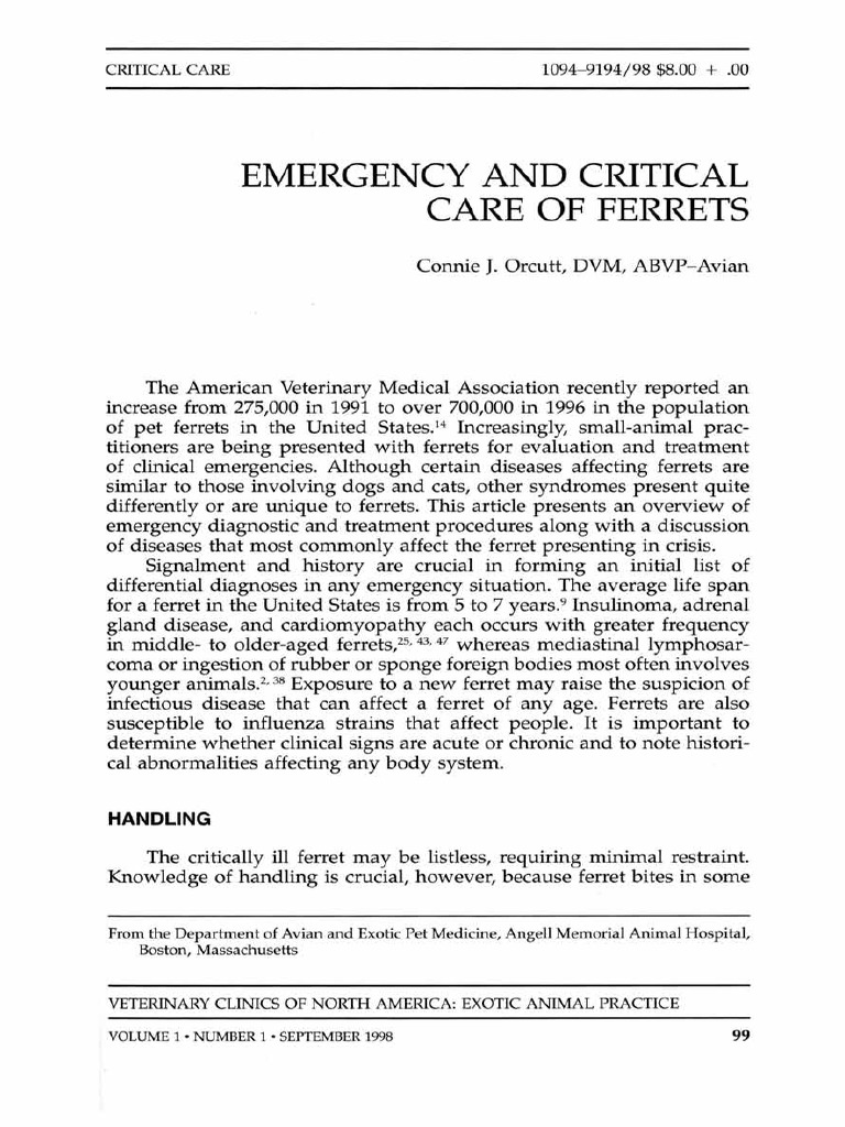 Critical Care Ferrets | PDF | Pneumonia | Heart