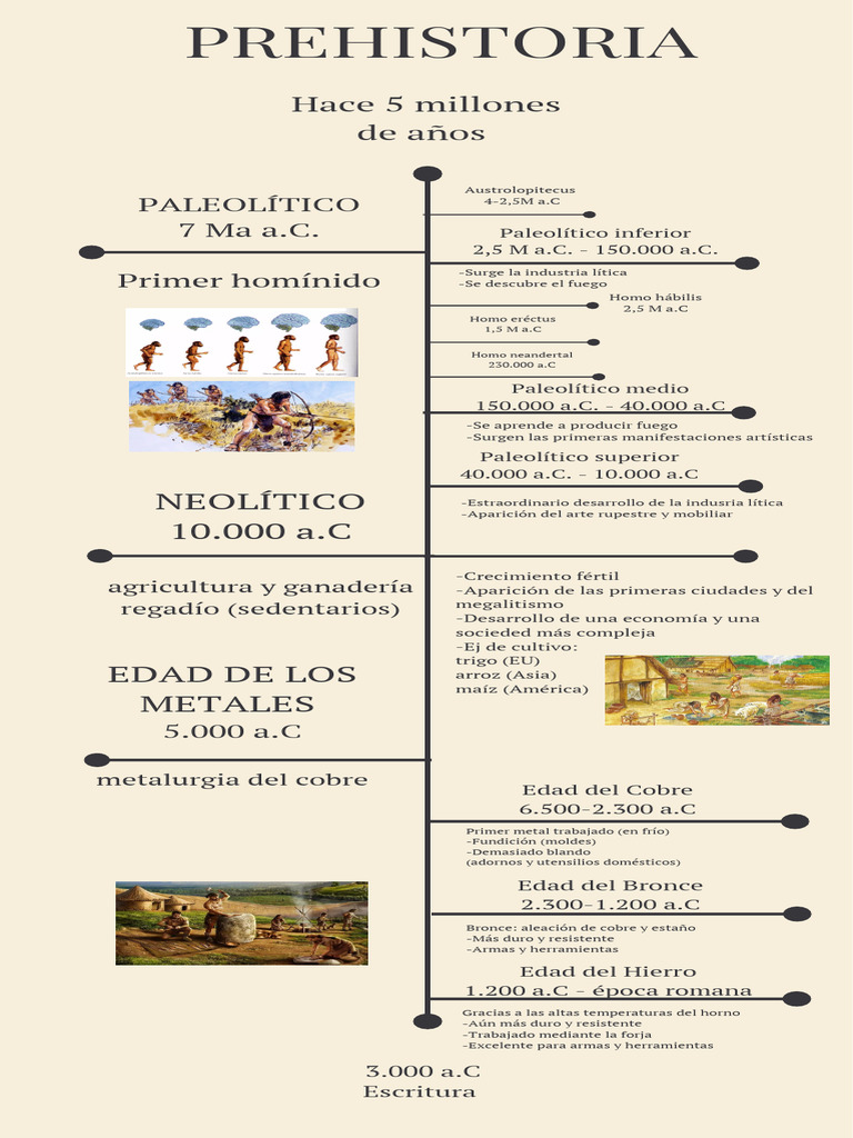 Evolución Humana y Edad de los Metales | PDF | Bronce | Paleolítico