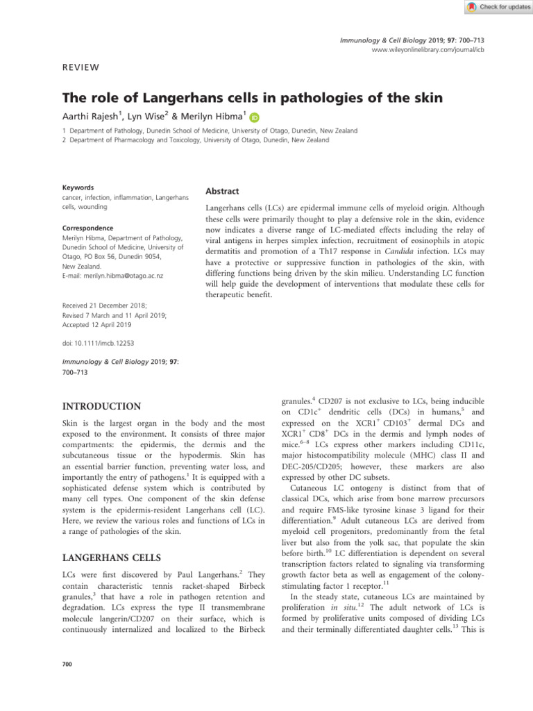 Langerhans Cells in Skin Pathologies | PDF | Dendritic Cell | T Helper Cell