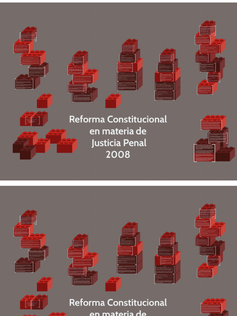 Reforma Constitucional 2008 | PDF
