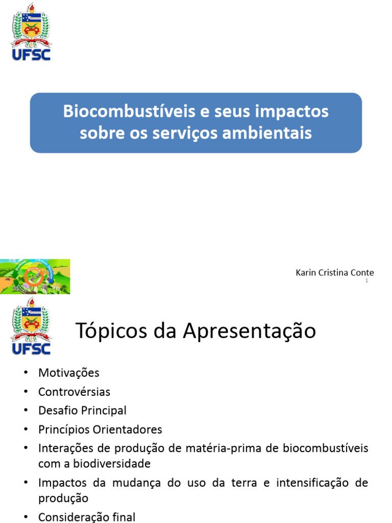 Impactos dos Biocombustíveis no Meio Ambiente | PDF | Agricultura ...