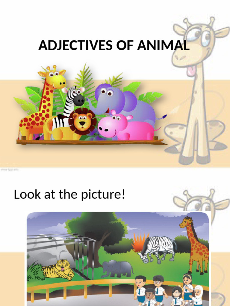 Media - Meeting 4 - Adjectives of Animal | PDF