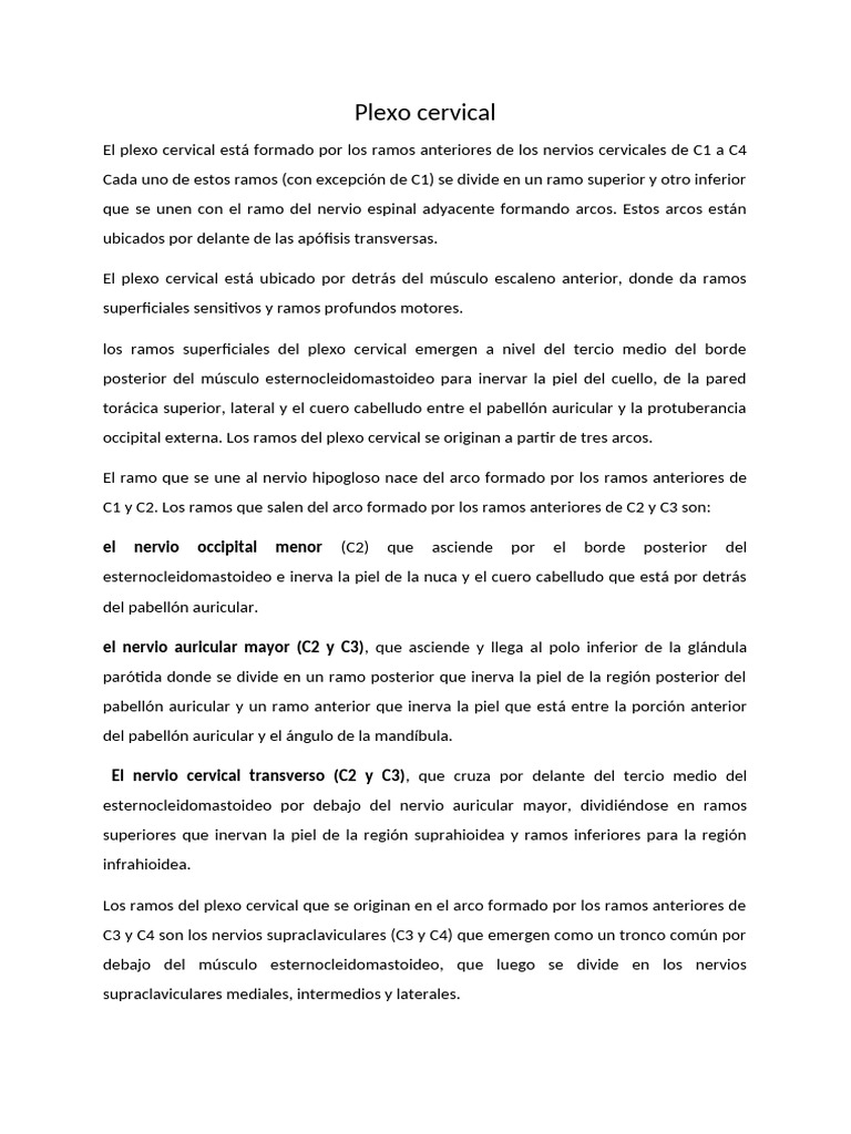 Seminario Plexo Cervical Pdf Sistema Musculoesquelético Neuroanatomía