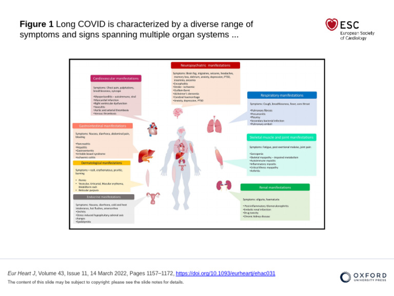 Long COVID Symptoms Overview | PDF