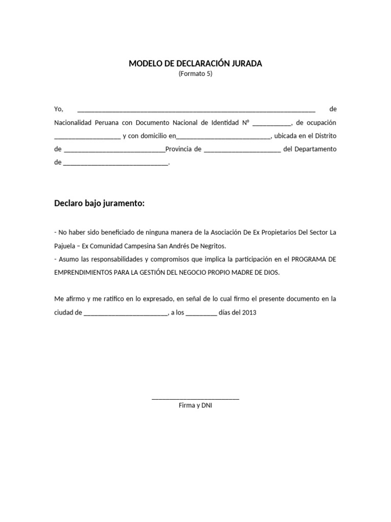 Modelo de Declaracion Jurada | PDF | Documento de identidad | Gobierno