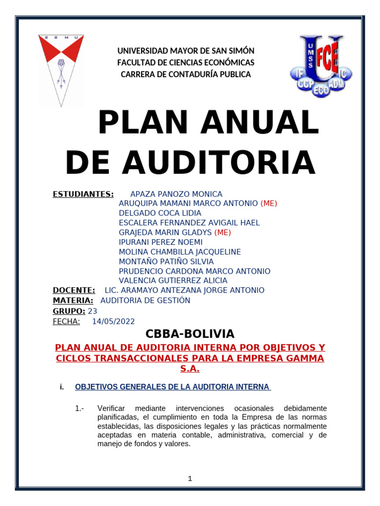 Plan Anual de Auditoria - Grupo 10 | PDF | Auditoría | Business