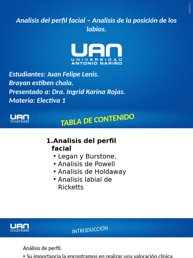 Analisis Del Perfil Facial y de Los Labios. | PDF | Cara | Anatomía humana