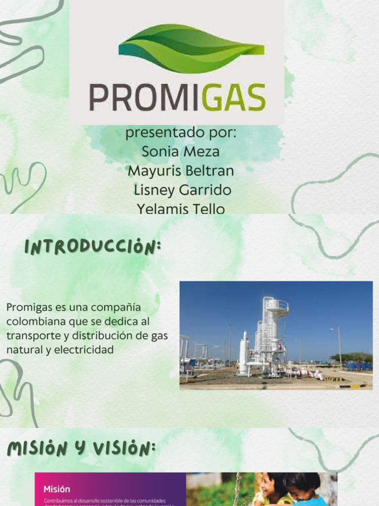Promigas V | PDF