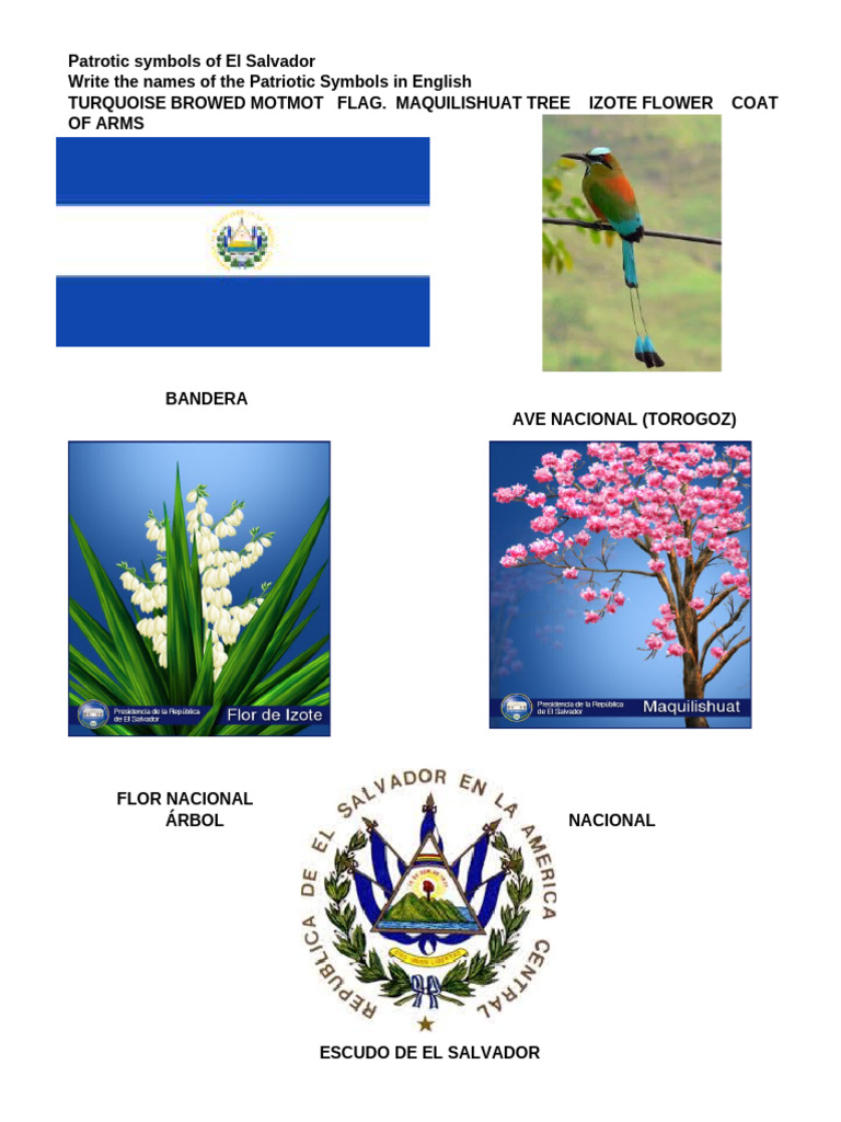 Patriotic Symbols of El Salvador PDF