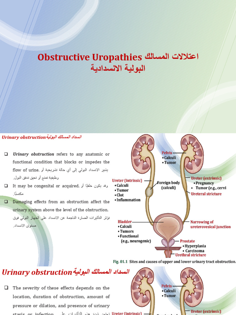 Lecture 7 Urinary Obstruction | PDF