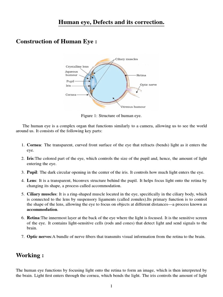 Human Eye Structure and Vision Defects | PDF | Eye | Human Eye