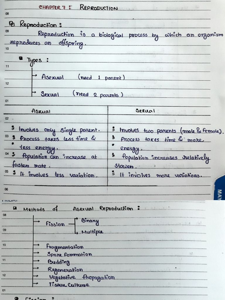 Reproductive Processes Overview | PDF