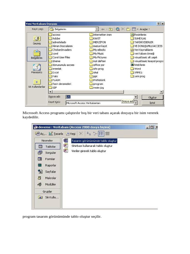 Microsoft access projesinin exe yap lmas pdf