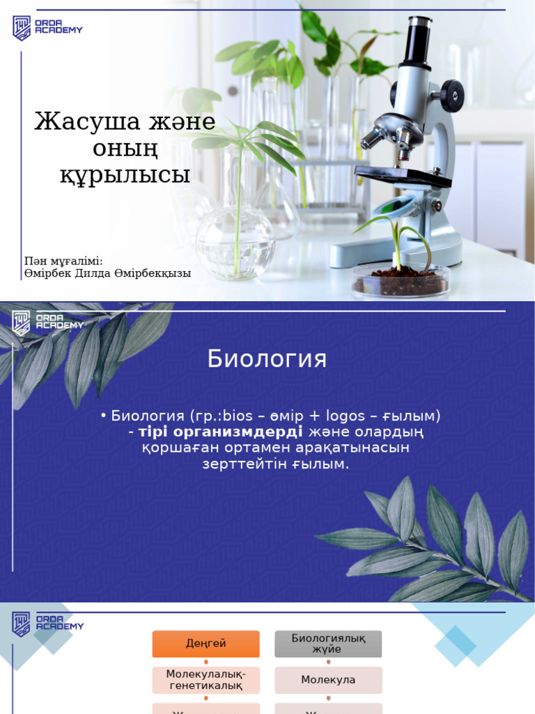 Неліктен мен жыныстық қатынас кезінде сперма жасай алмаймын?