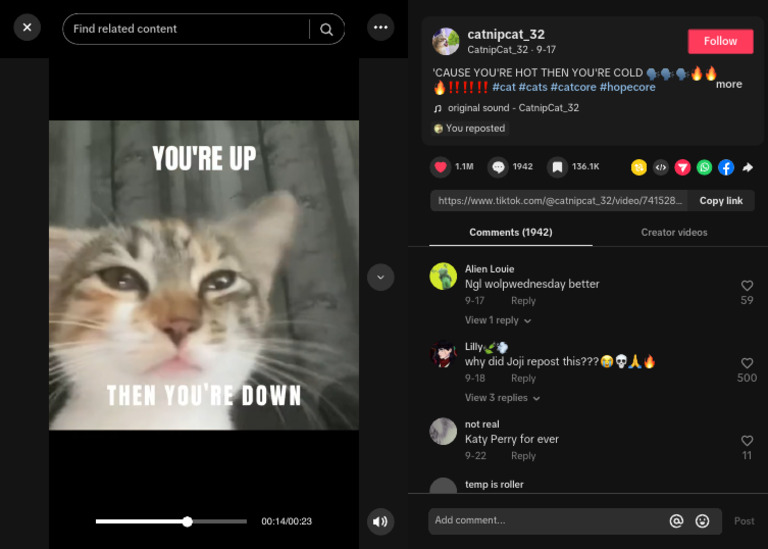 Watch Trending Videos For You Tiktok Pdf