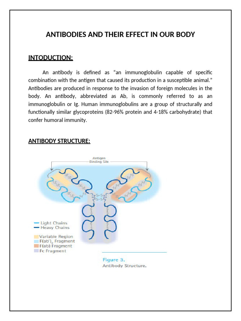 Antibodies and Their Effect in Our Body 2 | PDF | Antibody | Antigen