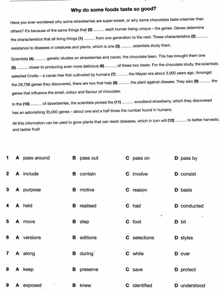 Use Of English Test 3 Pdf
