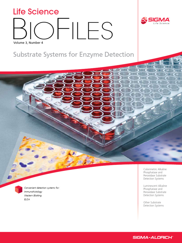 Biofiles Issue3 4 | PDF | Western Blot | Elisa