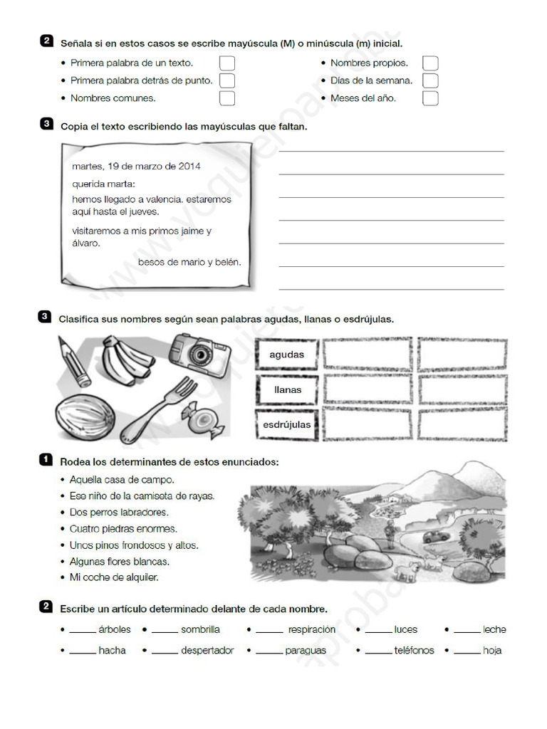 Repaso Lengua 1 y 2 Santillana 5 Primaria | PDF