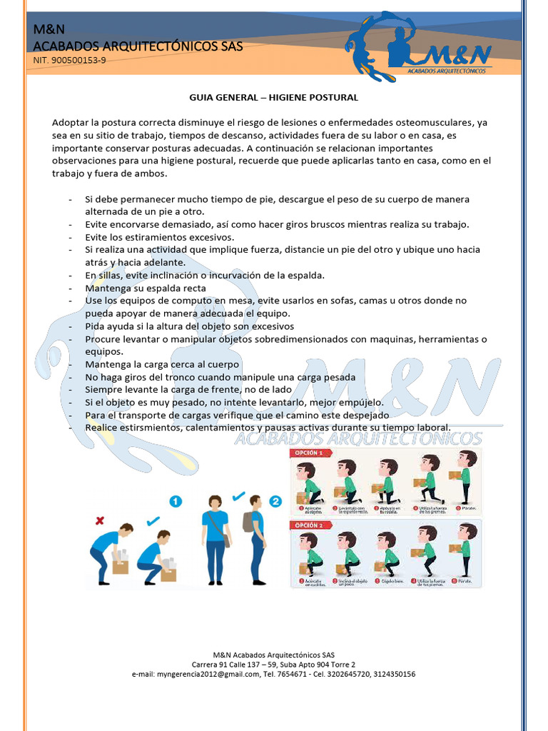 Formato para Guias - Folletos - Higiene Postural | PDF | Dolor lumbar
