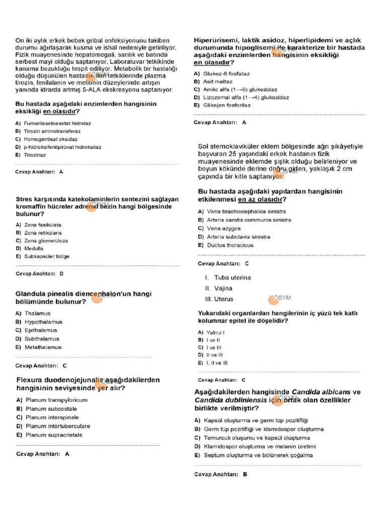 Tus 1 | PDF