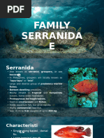 Major Fish Types in Sinhala Names | PDF | Tuna | Fish