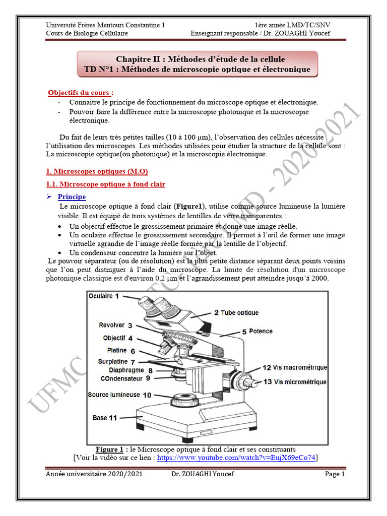 Différences entre microscopes optique et électronique | PDF ...
