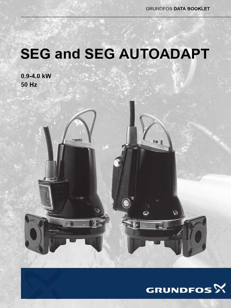 SEG and SEG AUTOADAPT Pump Overview | PDF | Pump | Relay