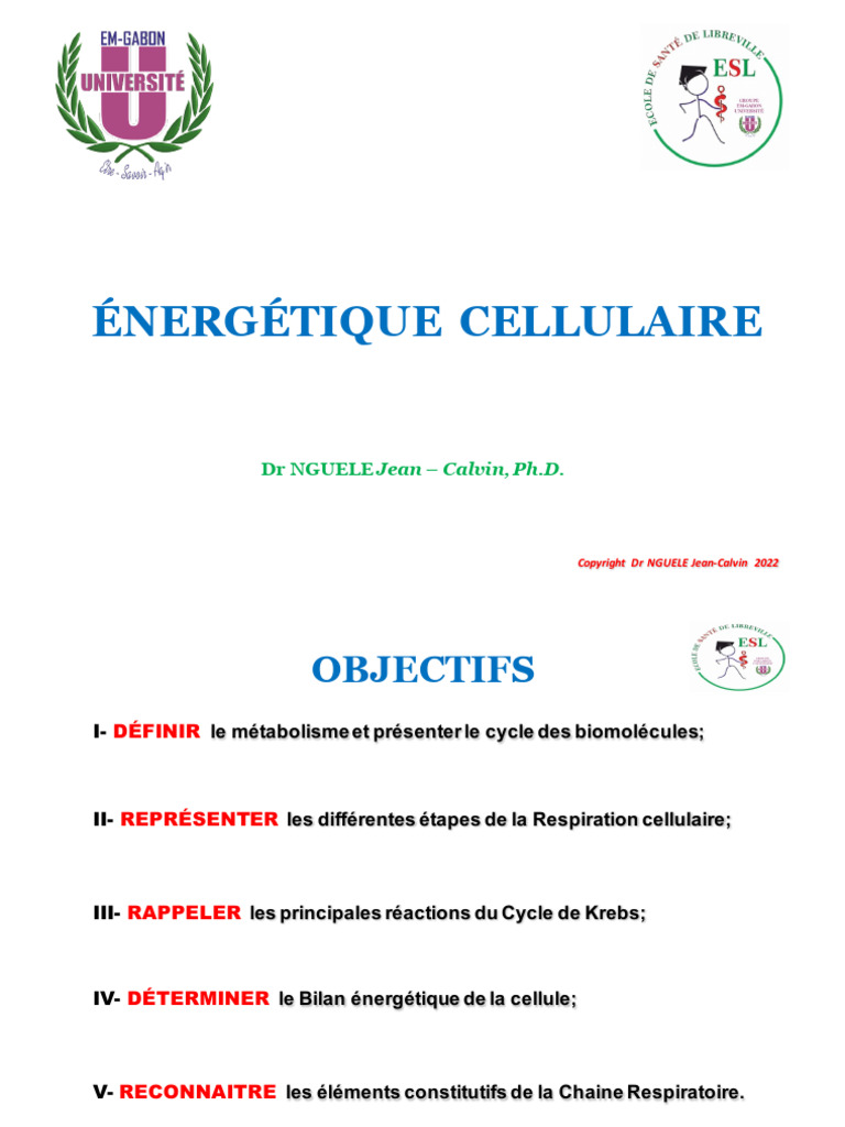 Énergétique Cellulaire: DR Nguele | PDF | Régime et nutrition | Chimie