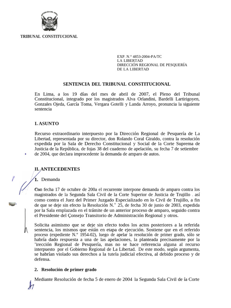 Sentencia del TC sobre Amparo en La Libertad | PDF | Caso de ley | Ley ...