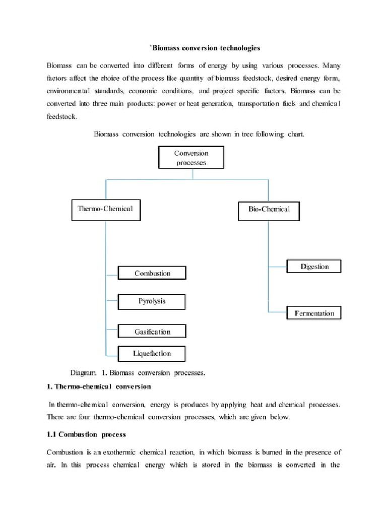 Bio Mass | PDF