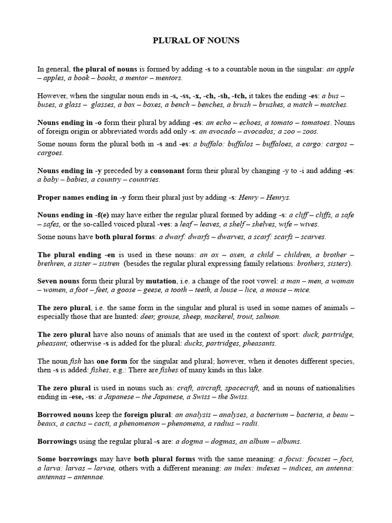 Rules for Plural Nouns Explained | PDF | Plural | Grammatical Number