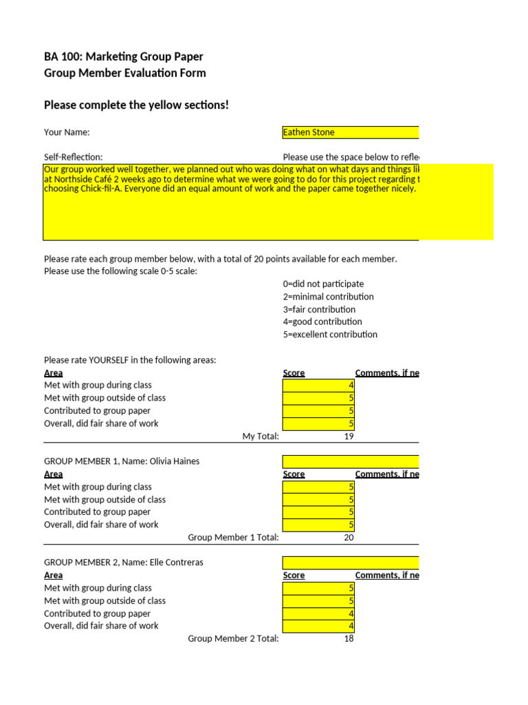 BA 100 Group Member Evaluation Form | PDF | Career & Growth