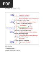 ChimeraX Tutorial: Color & Commands Guide | PDF | Cofactor ...