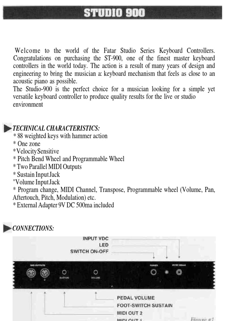 Technical Characteristics 88 Weighted Keys With Hammer Action PDF