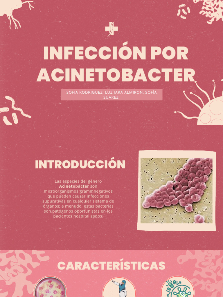 Infección Por Acinetobacter | PDF | Enfermedades y trastornos | Inmunología