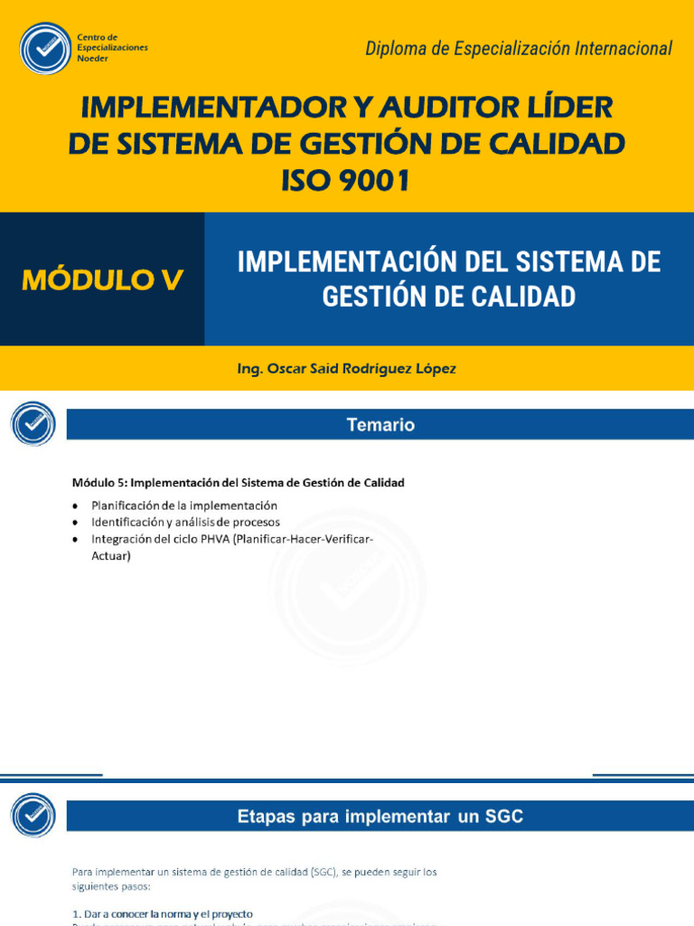 Clase 5 - Implementador y Auditor Lider Iso 9001 | PDF