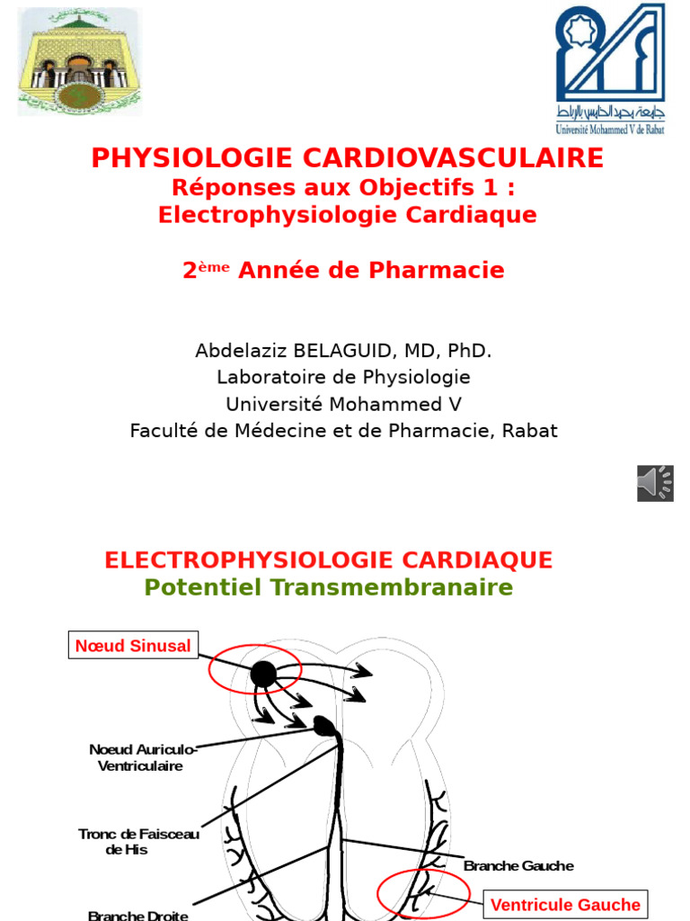 Objectifs 1 Electrophysiologie Cardiaque Diaporama PowerPoint 2APhar ...