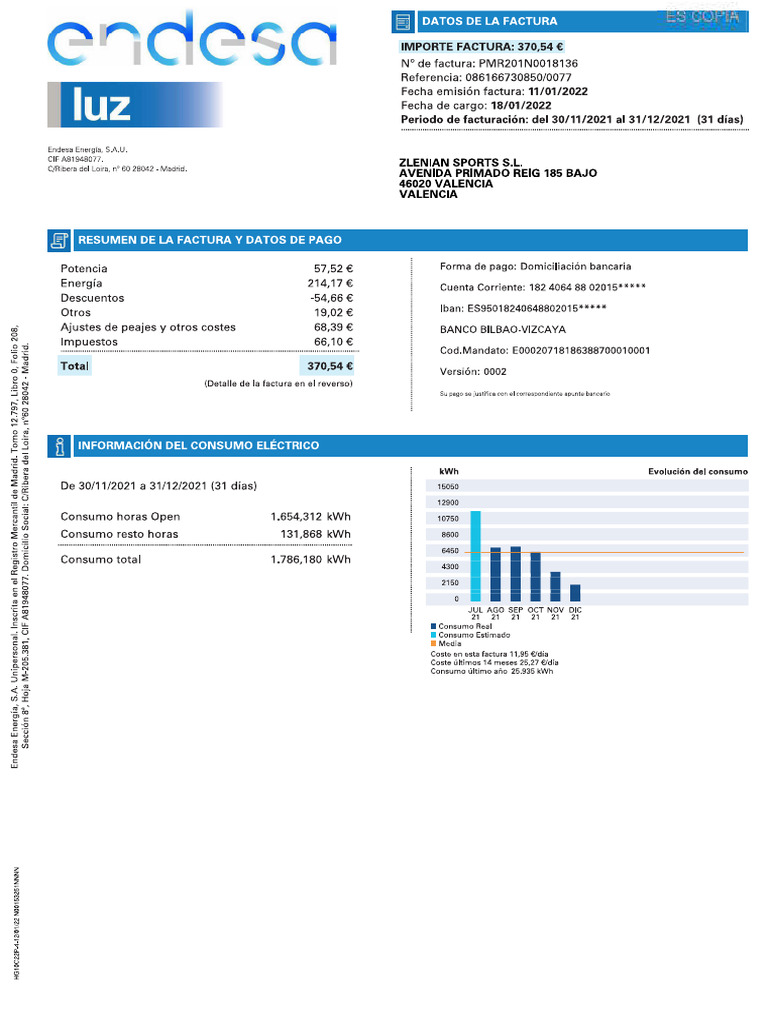 Factura Endesa - Zelenian Sports - Enero 2022 | PDF