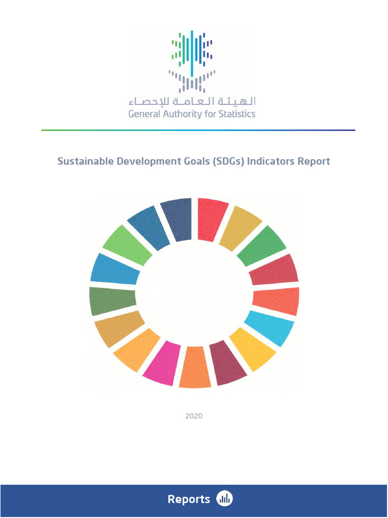 2020 Sustainable Development Goals Report | PDF | Tuberculosis ...