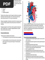 BTEC Sport Level 3 Revision Guide Cardiovascular System | PDF | Heart ...