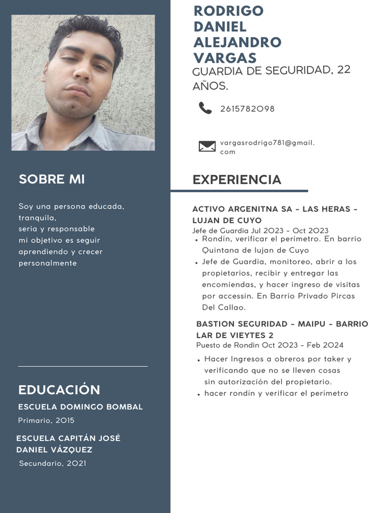Rodrigo Daniel Vargas: Perfil Profesional | PDF