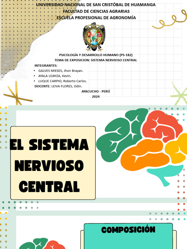 Sistema Nervioso Central - Grupo 4 | PDF